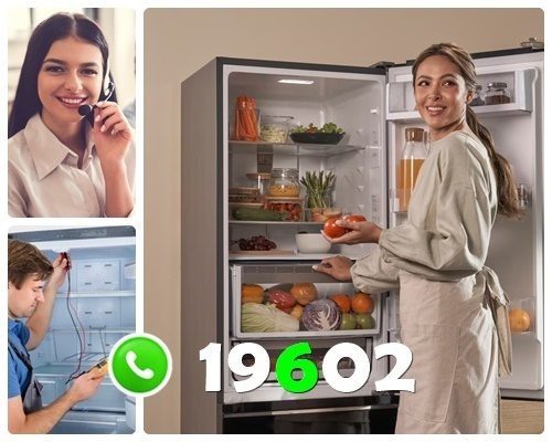 مركز صيانة فاجور بالاسكندرية
